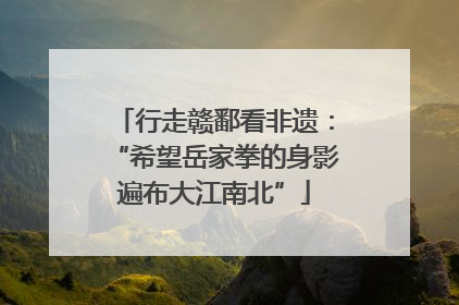 行走赣鄱看非遗：“希望岳家拳的身影遍布大江南北”