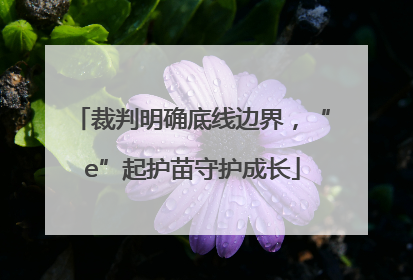 裁判明确底线边界，“e”起护苗守护成长
