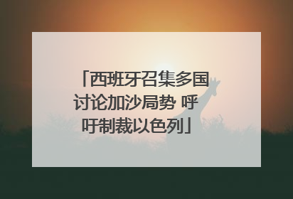 西班牙召集多国讨论加沙局势 呼吁制裁以色列