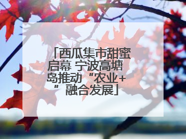 西瓜集市甜蜜启幕 宁波高塘岛推动“农业+”融合发展
