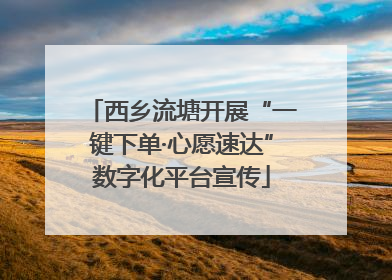 西乡流塘开展“一键下单·心愿速达”数字化平台宣传