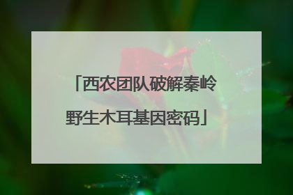 西农团队破解秦岭野生木耳基因密码