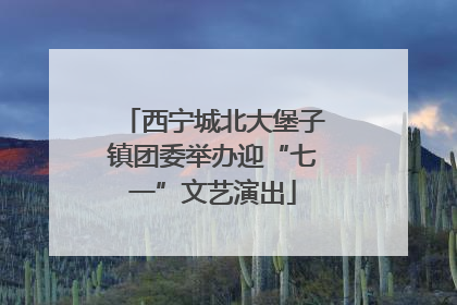 西宁城北大堡子镇团委举办迎“七一”文艺演出
