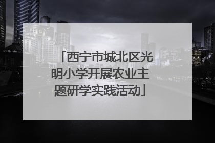 西宁市城北区光明小学开展农业主题研学实践活动