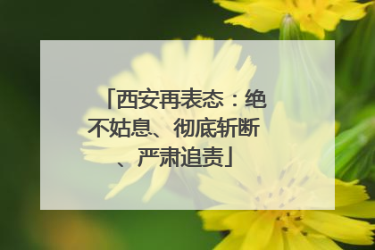 西安再表态：绝不姑息、彻底斩断、严肃追责