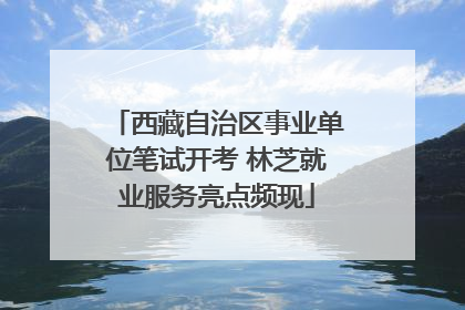 西藏自治区事业单位笔试开考 林芝就业服务亮点频现