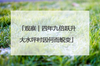 观察｜四年九倍跃升 大水坪村因何而蜕变