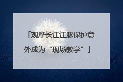 观摩长江江豚保护意外成为“现场教学”
