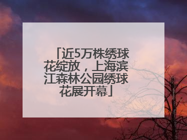 近5万株绣球花绽放，上海滨江森林公园绣球花展开幕