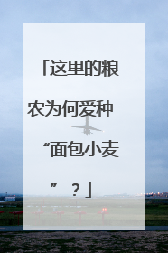 这里的粮农为何爱种“面包小麦”？