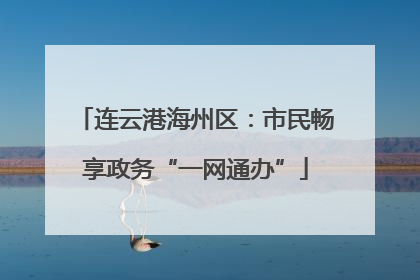 连云港海州区:市民畅享政务“一网通办”