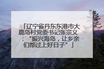辽宁省丹东东港市大鹿岛村党委书记张宗义：“振兴海岛，让乡亲们都过上好日子”