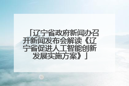 辽宁省政府新闻办召开新闻发布会解读《辽宁省促进人工智能创新发展实施方案》