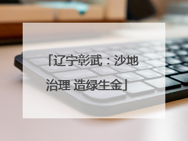 辽宁彰武：沙地治理 造绿生金