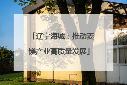 辽宁海城：推动菱镁产业高质量发展
