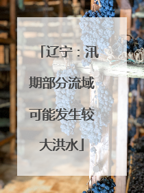 辽宁：汛期部分流域可能发生较大洪水