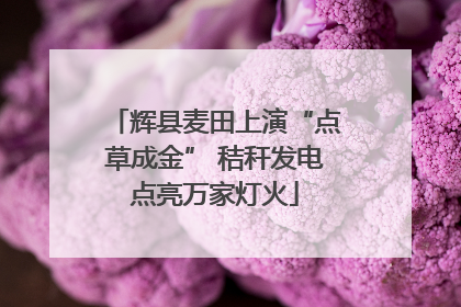 辉县麦田上演“点草成金” 秸秆发电点亮万家灯火