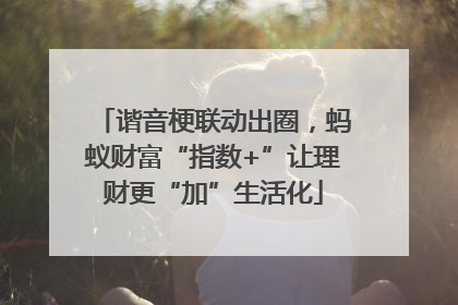 谐音梗联动出圈，蚂蚁财富“指数+”让理财更“加”生活化