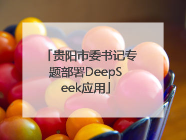 贵阳市委书记专题部署DeepSeek应用