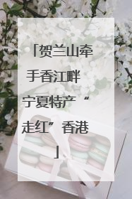 贺兰山牵手香江畔 宁夏特产“走红”香港