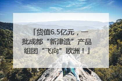 货值6.5亿元，一批成都“新津造”产品组团“飞向”欧洲！