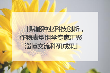 赋能种业科技创新，作物表型组学专家汇聚淄博交流科研成果
