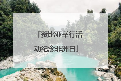 赞比亚举行活动纪念非洲日