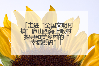 走进“全国文明村镇”庐山西海上畈村 探寻和美乡村的“幸福密码”
