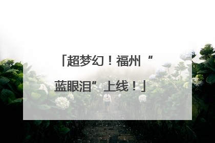 超梦幻！福州“蓝眼泪”上线！