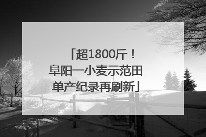 超1800斤！阜阳一小麦示范田单产纪录再刷新