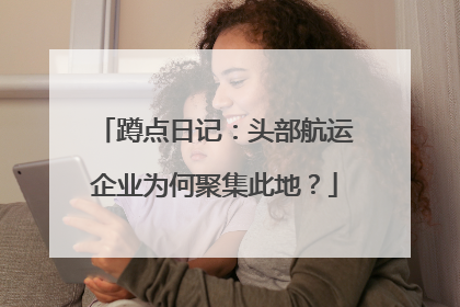 蹲点日记：头部航运企业为何聚集此地？