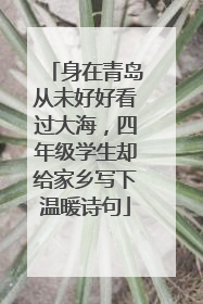 身在青岛从未好好看过大海，四年级学生却给家乡写下温暖诗句