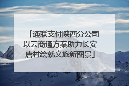 通联支付陕西分公司以云商通方案助力长安唐村绘就文旅新图景