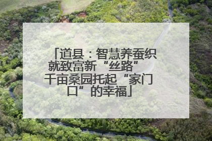 道县：智慧养蚕织就致富新“丝路” 千亩桑园托起“家门口”的幸福