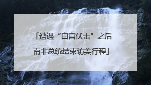 遭遇“白宫伏击”之后 南非总统结束访美行程