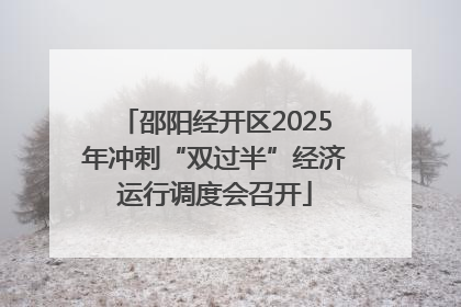 邵阳经开区2025年冲刺“双过半”经济运行调度会召开