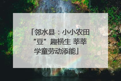 邻水县：小小农田“豆”趣横生 莘莘学童劳动添能