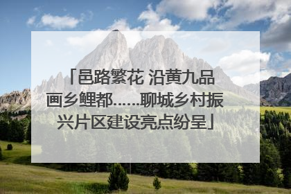邑路繁花 沿黄九品 画乡鲤都……聊城乡村振兴片区建设亮点纷呈