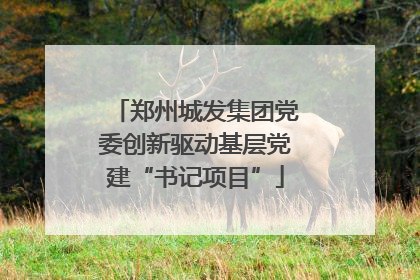 郑州城发集团党委创新驱动基层党建“书记项目”