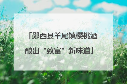 郧西县羊尾镇樱桃酒酿出“致富”新味道
