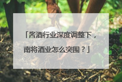 酱酒行业深度调整下，南将酒业怎么突围？
