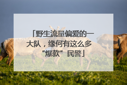 野生流量偏爱的一大队，缘何有这么多“爆款”民警