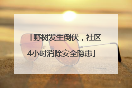 野树发生倒伏，社区4小时消除安全隐患