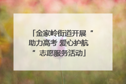 金家岭街道开展“助力高考 爱心护航”志愿服务活动