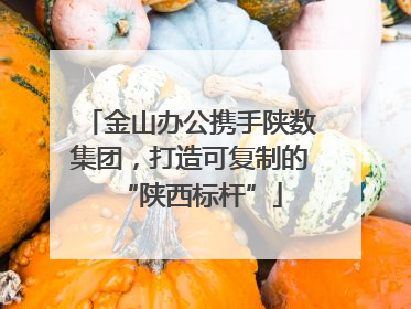 金山办公携手陕数集团，打造可复制的“陕西标杆”