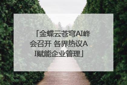 金蝶云苍穹AI峰会召开 各界热议AI赋能企业管理
