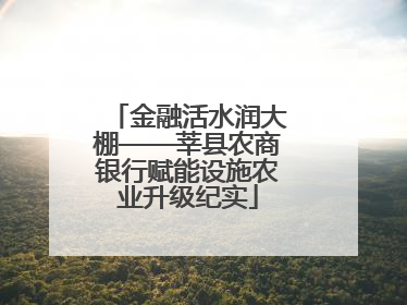 金融活水润大棚——莘县农商银行赋能设施农业升级纪实