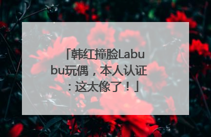 韩红撞脸Labubu玩偶，本人认证：这太像了！