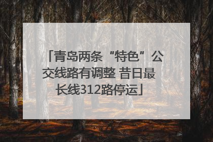 青岛两条“特色”公交线路有调整 昔日最长线312路停运