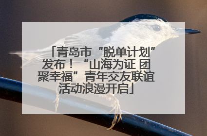 青岛市“脱单计划”发布！“山海为证 团聚幸福”青年交友联谊活动浪漫开启